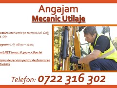 Mecanic utilaje